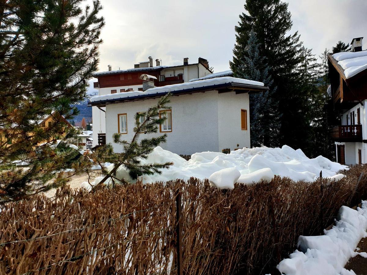 Luminoso Ed Accogliente, Centralissimo Appartamento Indipendente Cortina d'Ampezzo Exterior foto